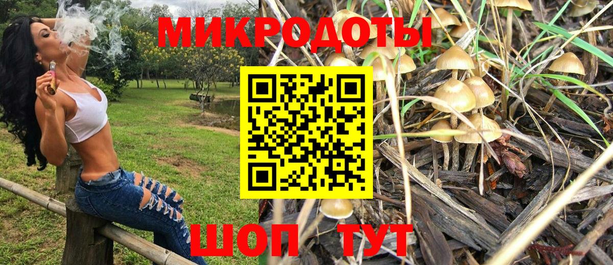 Псилоцибиновые грибы MAGIC MUSHROOMS  Галлюциногенные грибы мицелий  Вичуга  Вход с VPN 